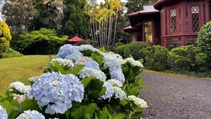 A garden with hydrangea flowers, a gazebo, and a building with a conical roof. - Volcano Village Estates (Volcano)