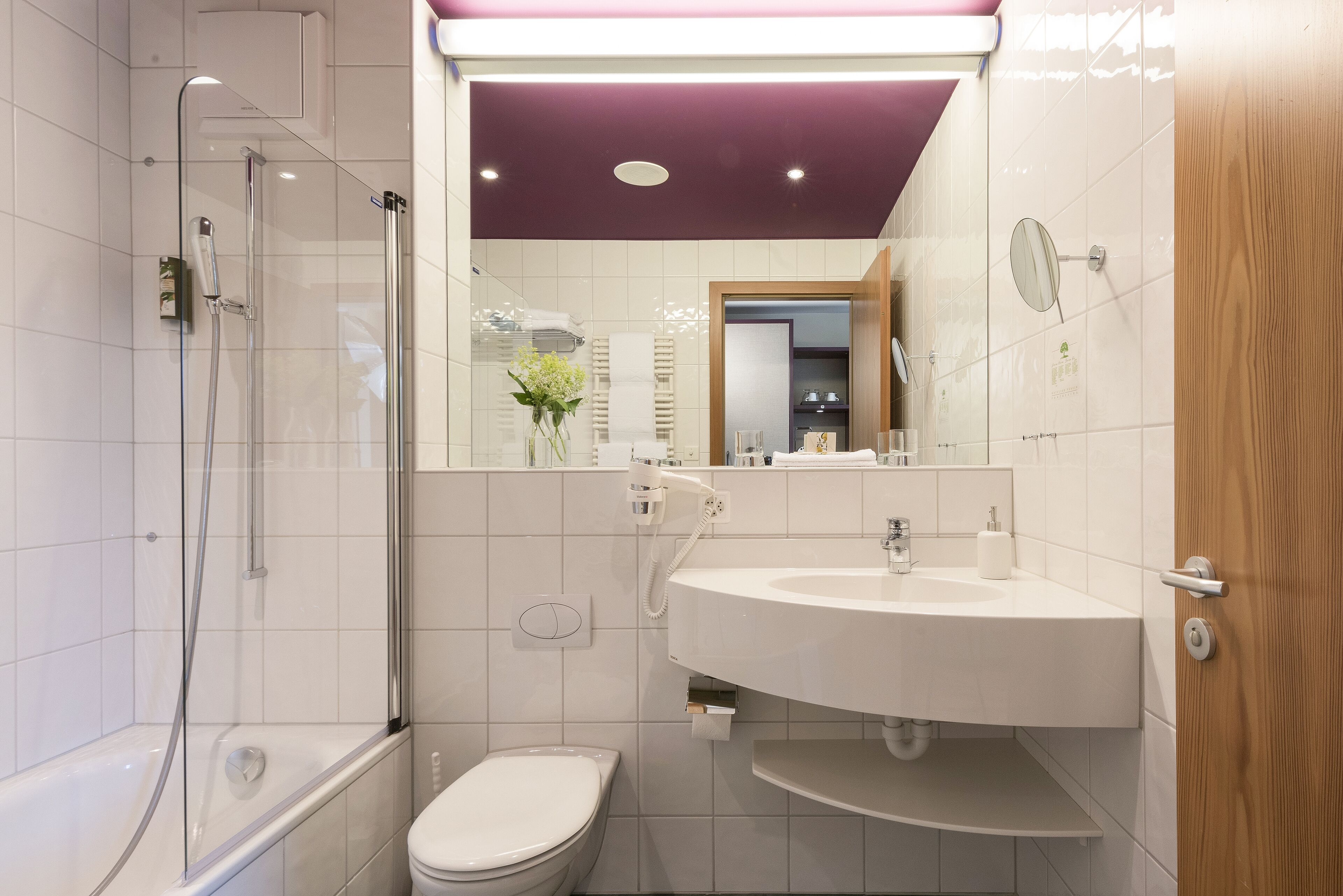 standard double room, 1 double bed, mountain view, mountainside | bathroom | combined shower/bathtub, free toiletries, hair dryer, bathrobes