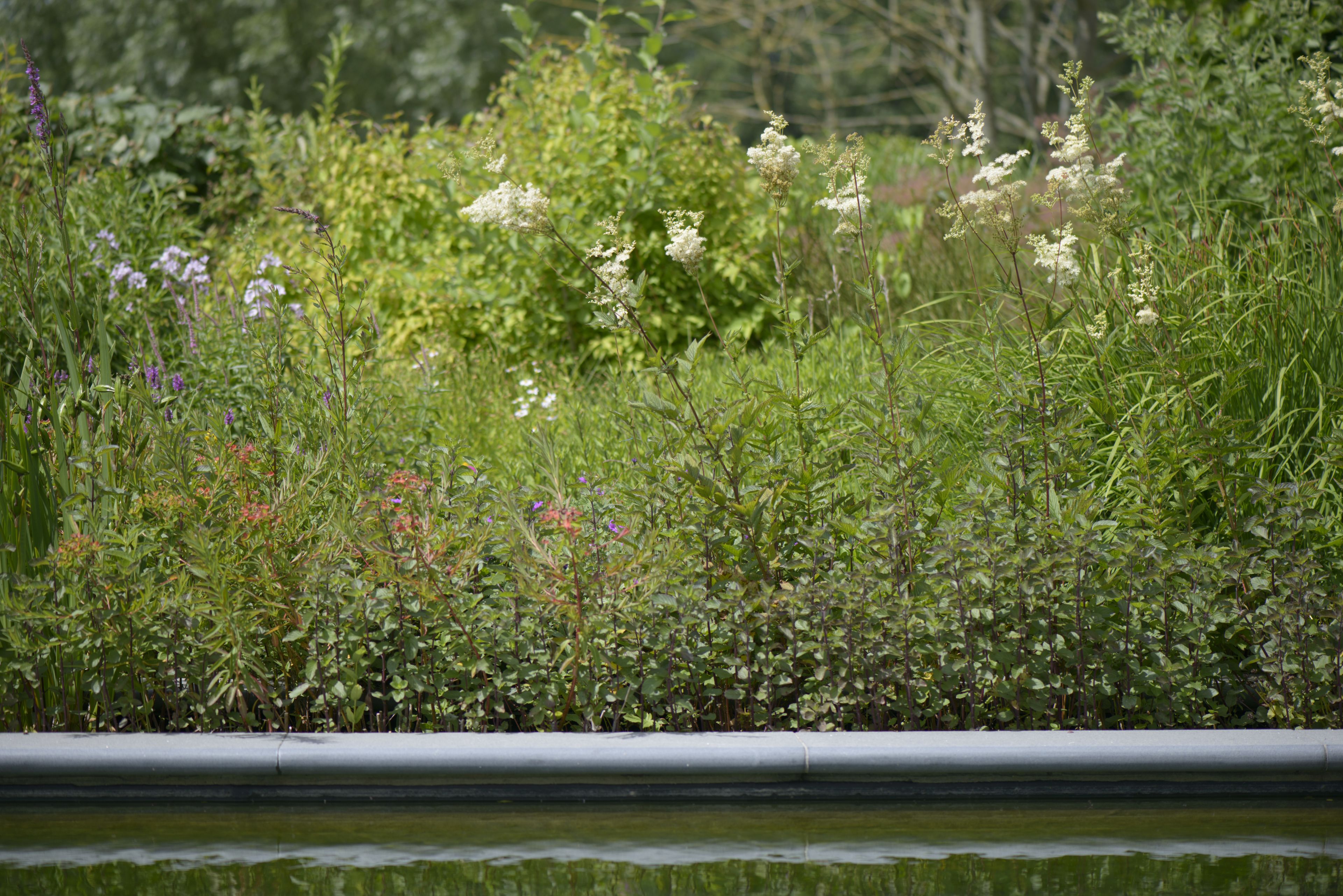 Foto - B&B Le Plat Pays Oostkamp-Brugge