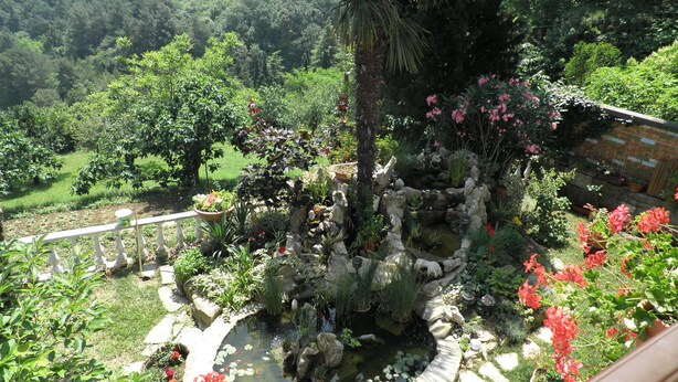Un giardino con uno stagno, diverse piante e un sentiero in pietra.