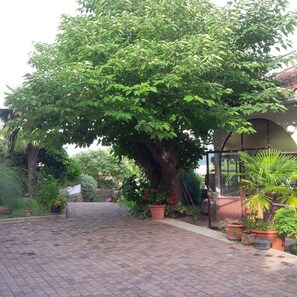 BBQ/picnic Area