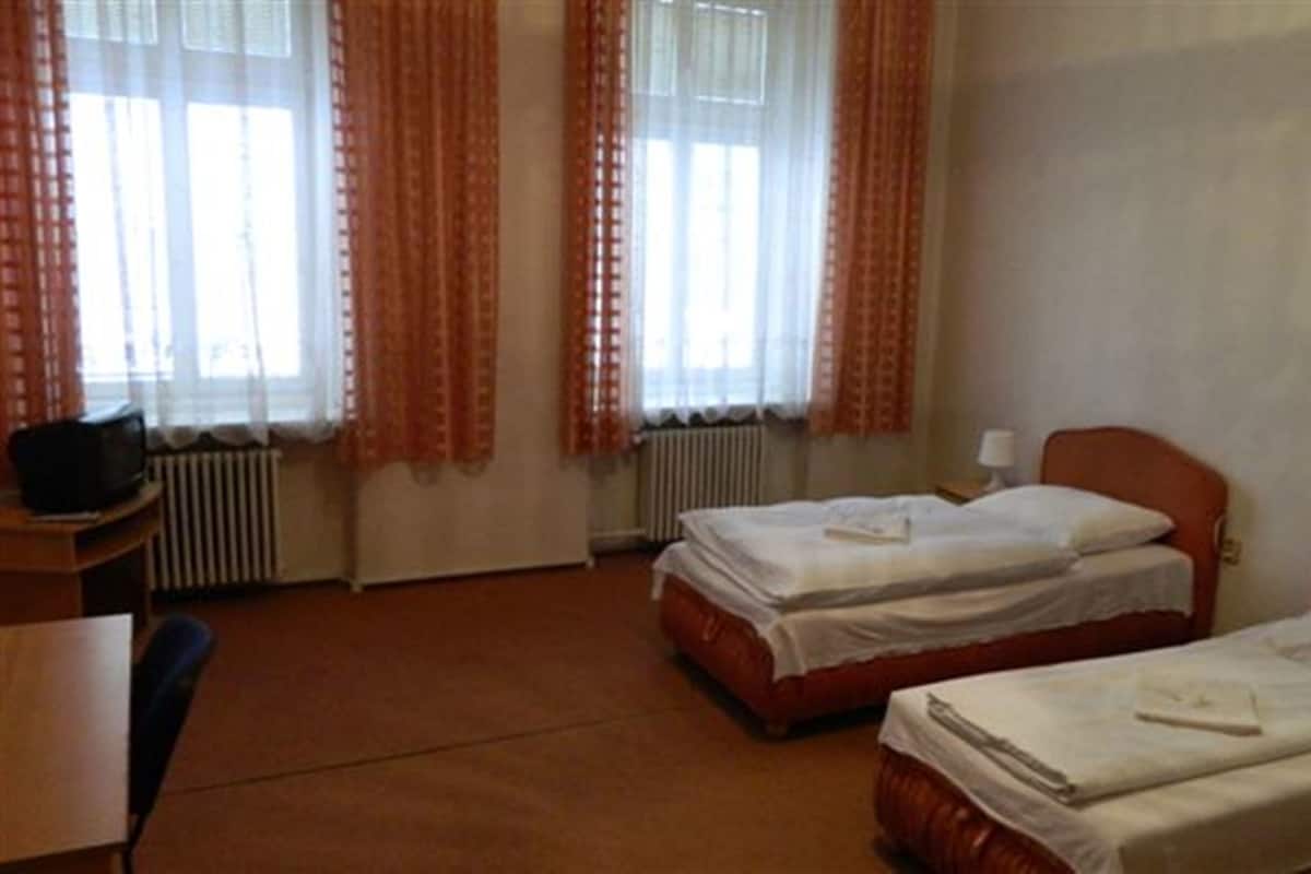 Basic Tek Büyük Yataklı Oda, Ortak Banyo | Masa, güneşlik/perde, portatif/ilave yatak, ücretsiz kablosuz İnternet