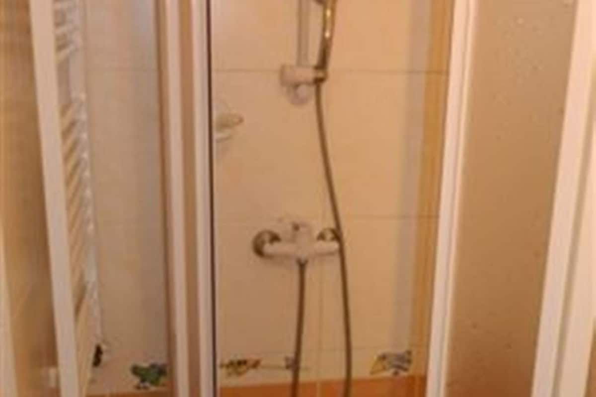 Tek Kişilik Oda, Özel Banyo (Attic) | Banyo duşu