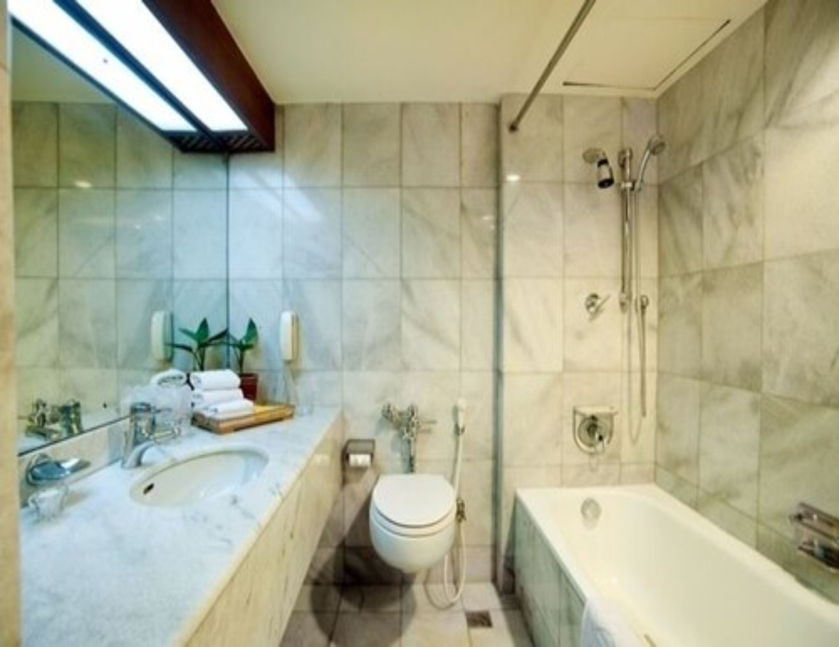 combined shower/bathtub, free toiletries, hair dryer, bidet