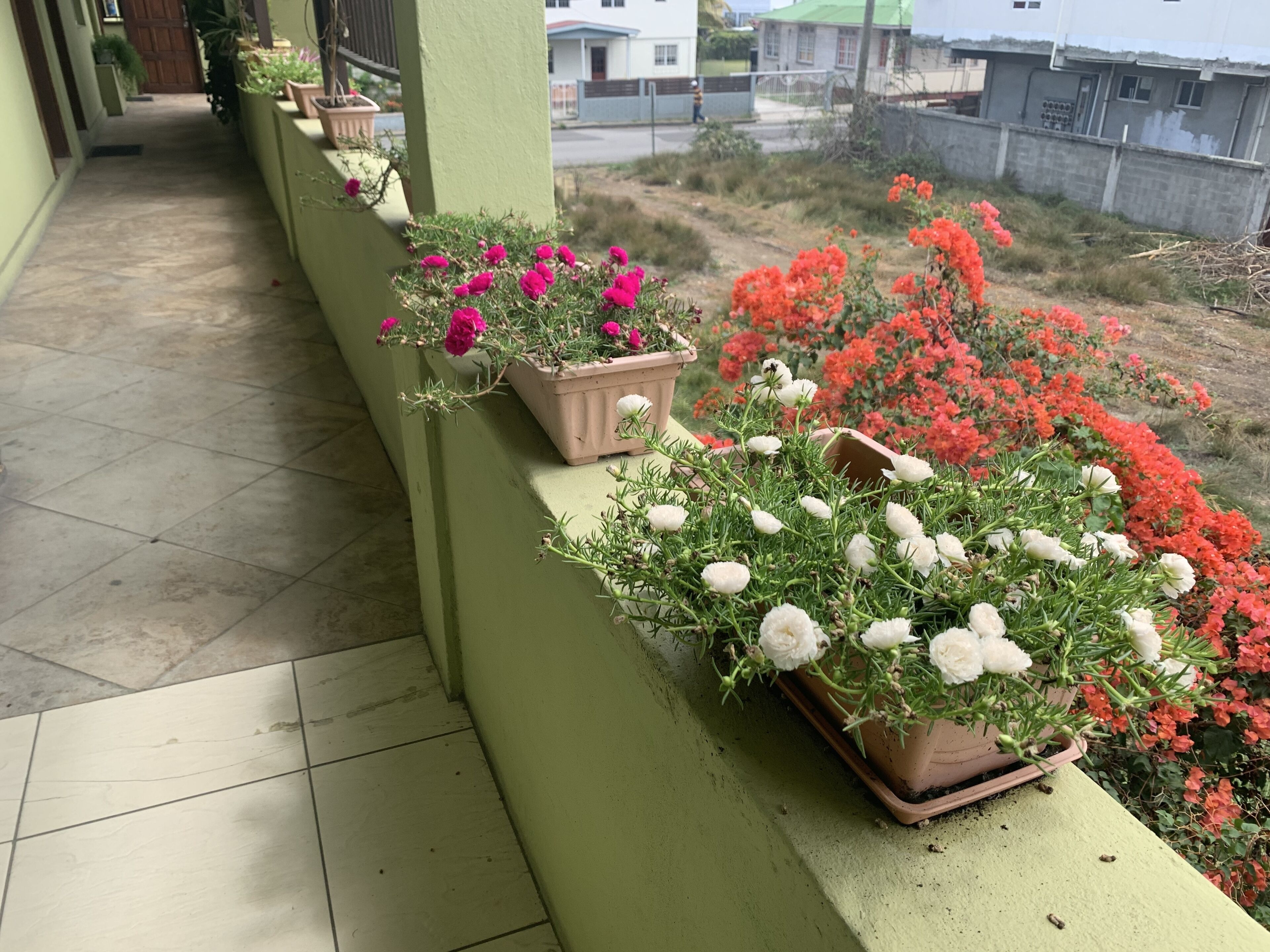 Ein Balkon mit Blumentöpfen und Blumen, ein Kachelboden und ein Blick auf Gebäude im Hintergrund.
