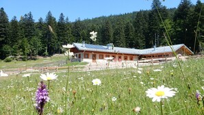 A lodge with a sloped roof, wooden exterior, and a stone foundation, surrounded by a meadow with wildflowers and a forest in the background. - Hotel Fai (Fai della Paganella)