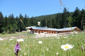 Hiking - Hotel Fai (Fai della Paganella)