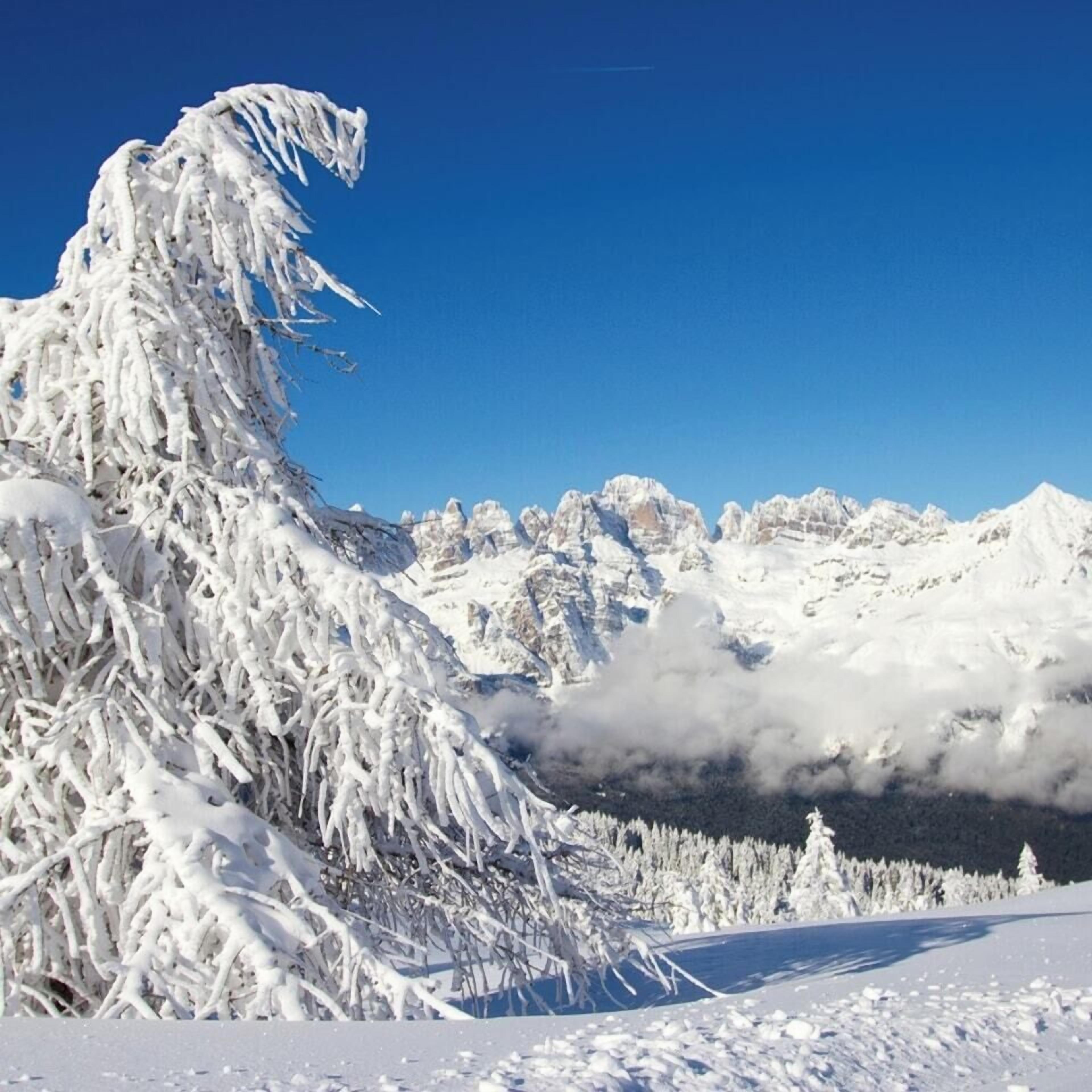 A snow-covered mountain landscape with a clear sky.