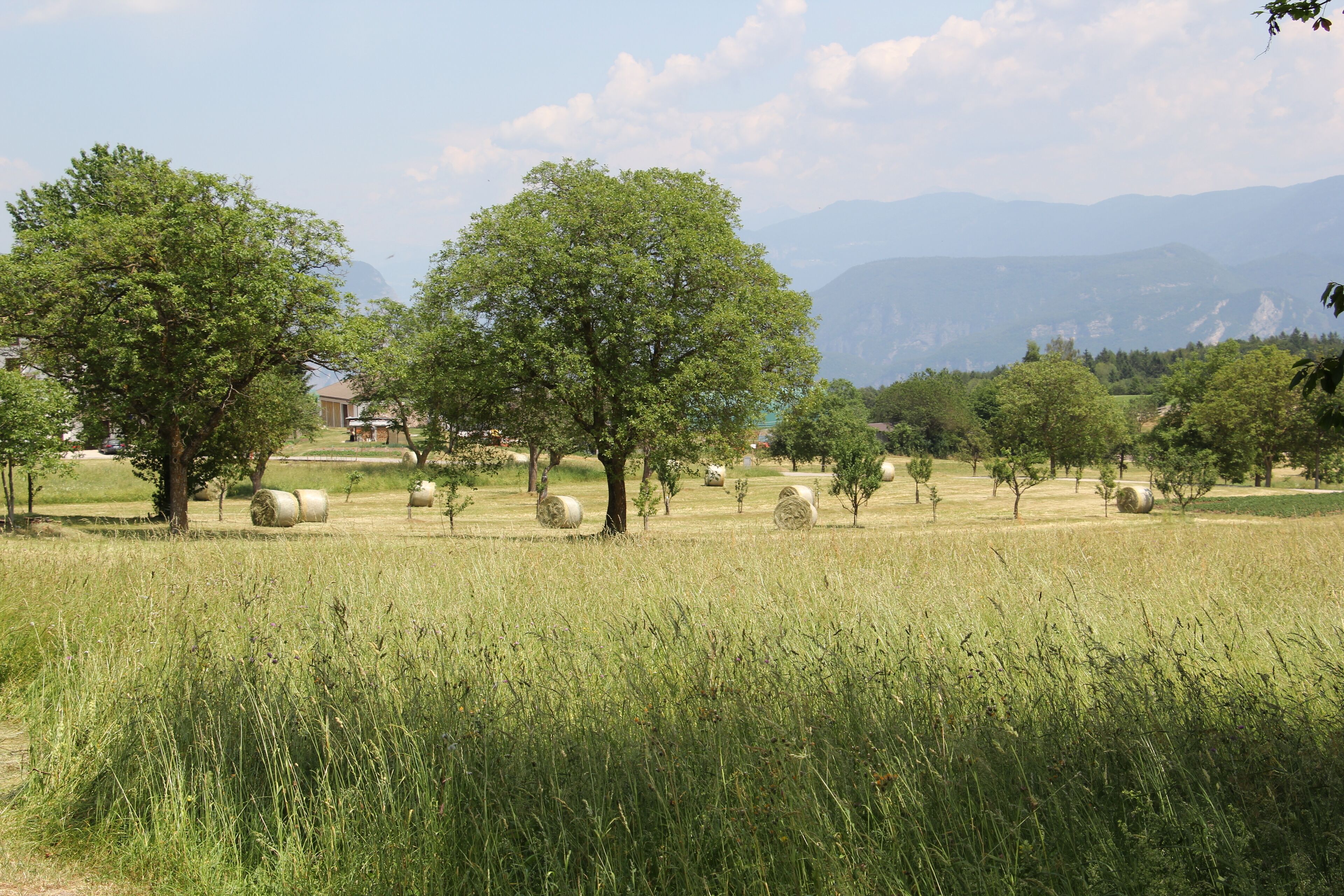economy room | garden view