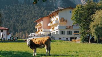 Façade de lâhĂ©bergement