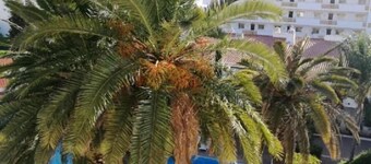 Solar de São João - Apartamentos Turísticos