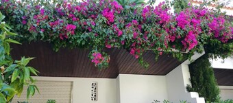 Solar de São João - Apartamentos Turísticos