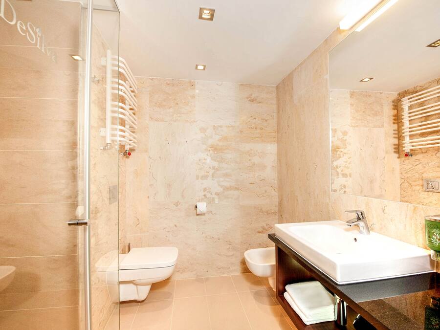 A modern bathroom with a glass shower enclosure, a white sink, and a bidet.
