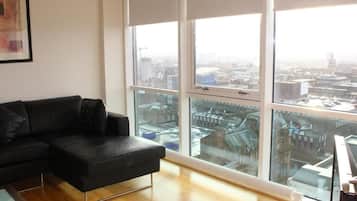Flat-screen TV, DVD player