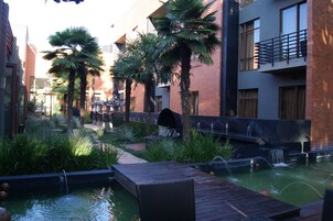 Vista desde la propiedad