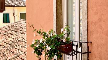 A balcony with a potted plant and a window.
