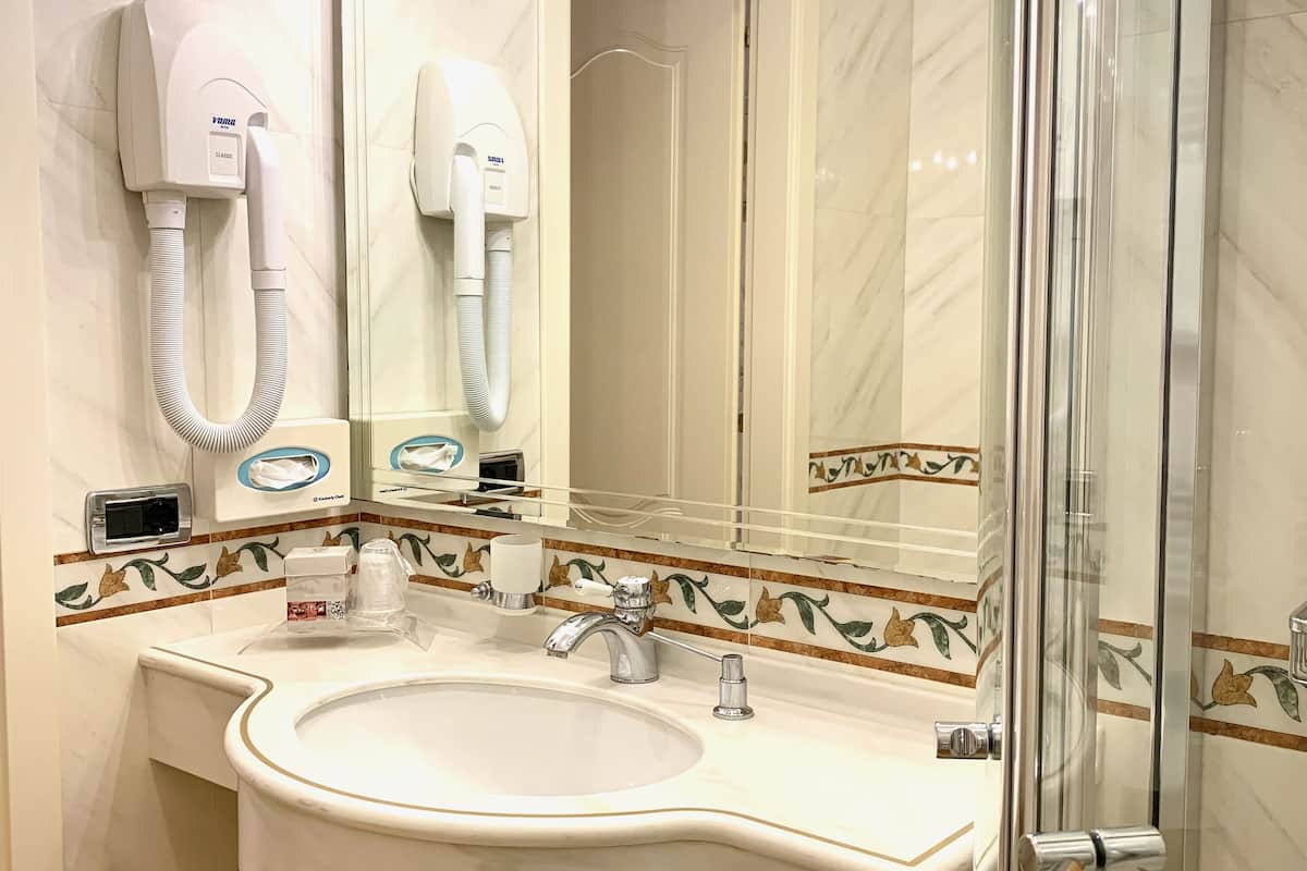 double or twin room, balcony, lake view | bathroom | shower, free toiletries, hair dryer, bidet