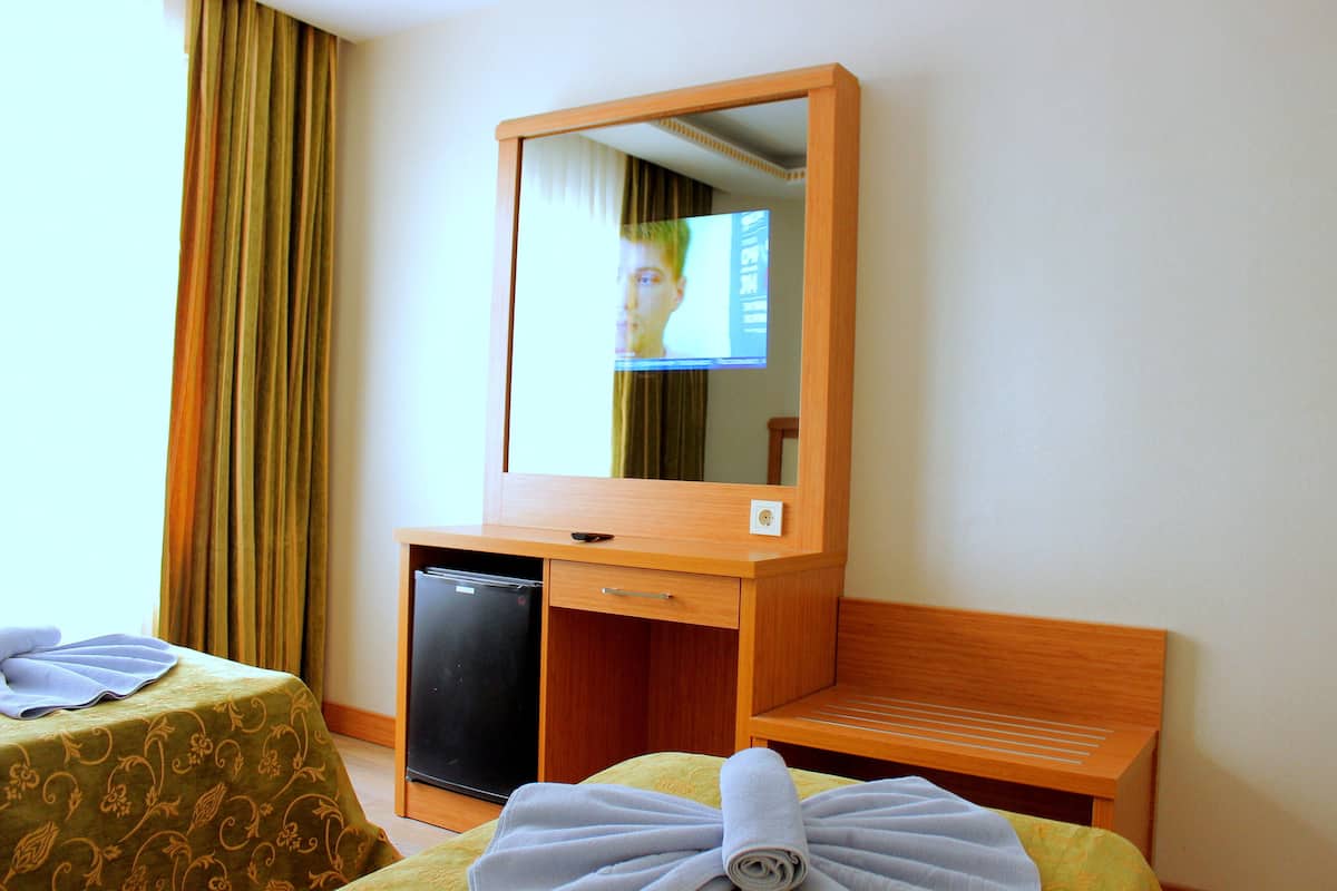 Minibar, caja de seguridad en la habitación y escritorio
