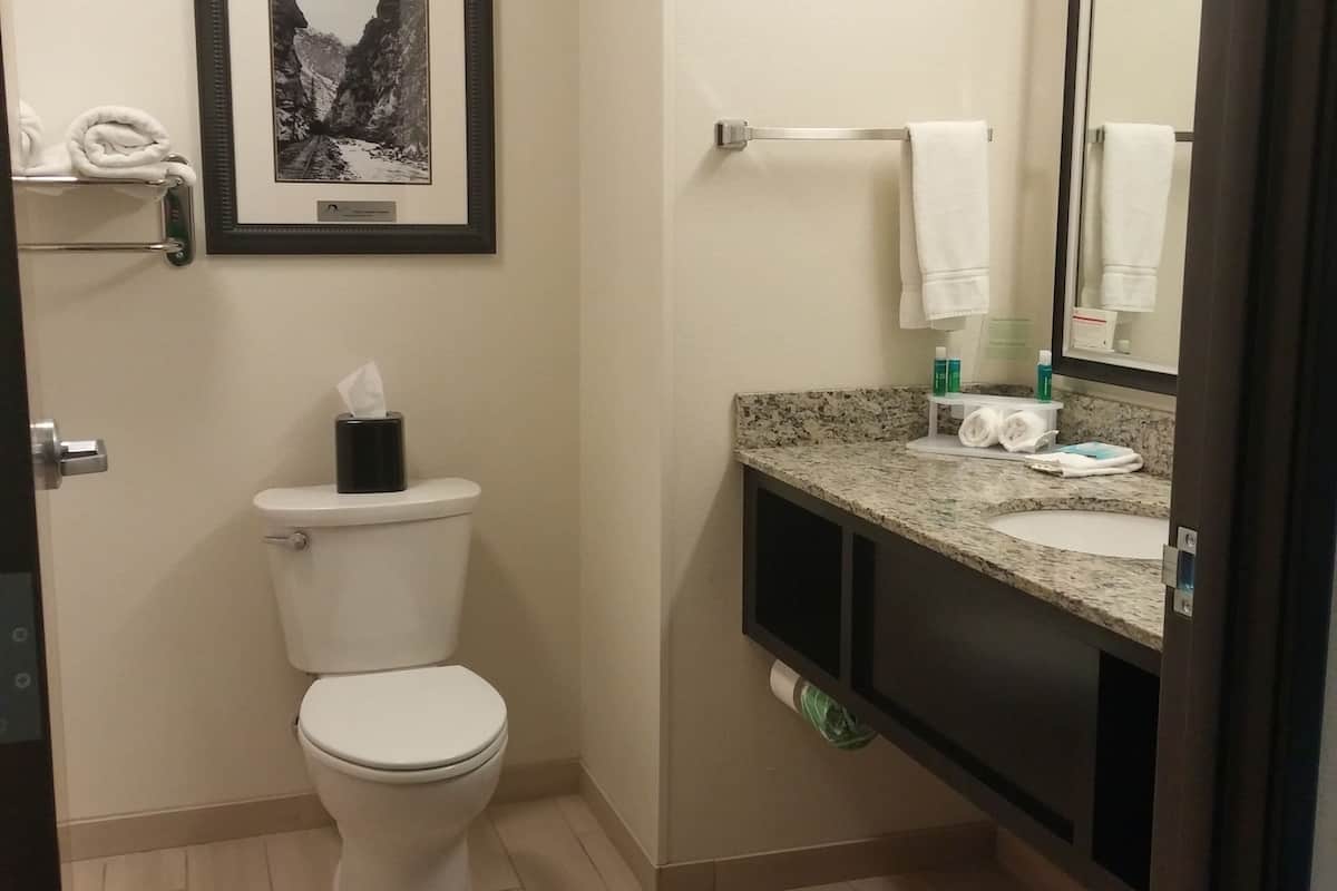 standard room | bathroom | combined shower/bathtub, deep-soaking bathtub, free toiletries