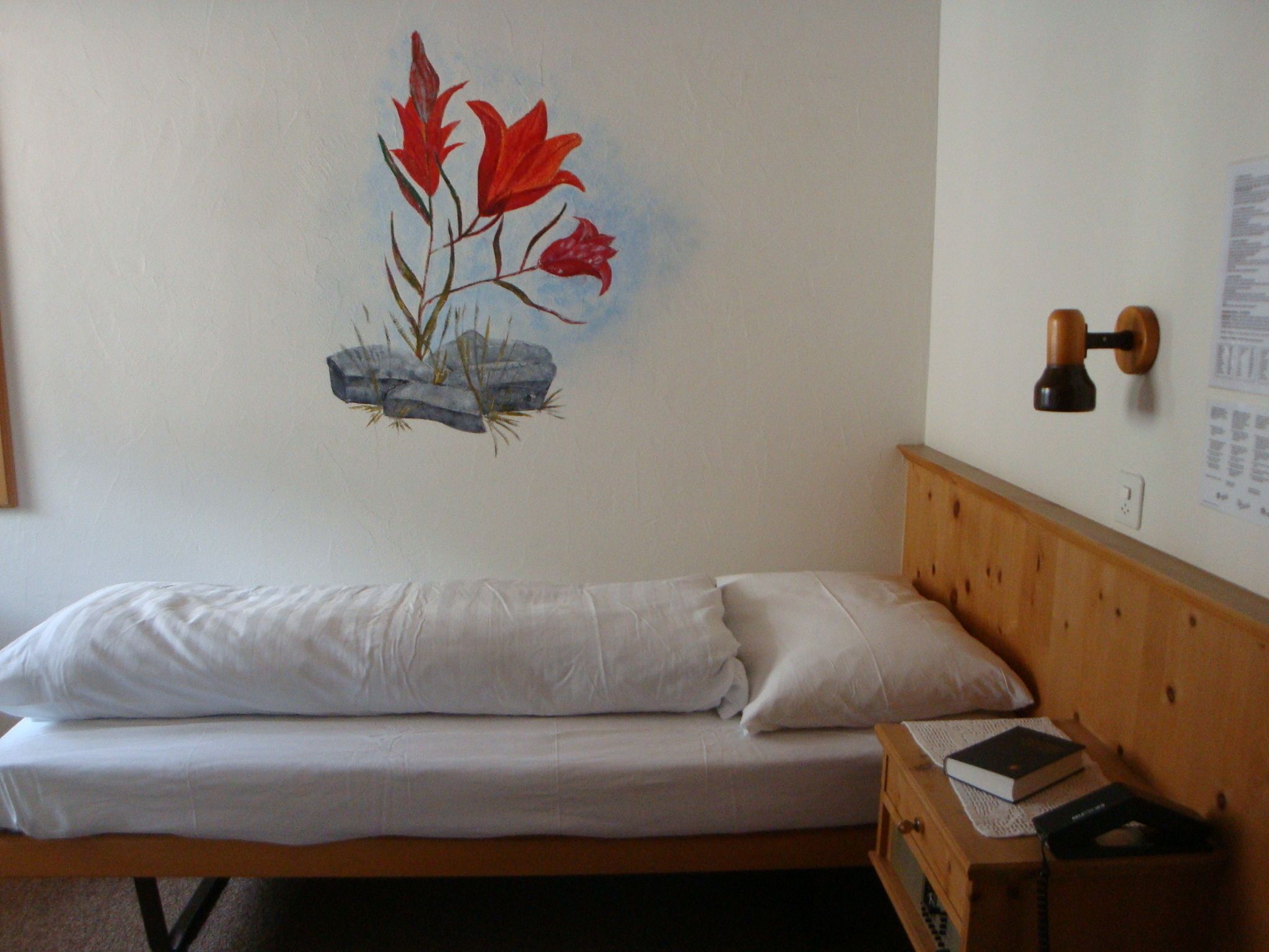 basic single room | premium bedding, in-room safe, desk, free wifi