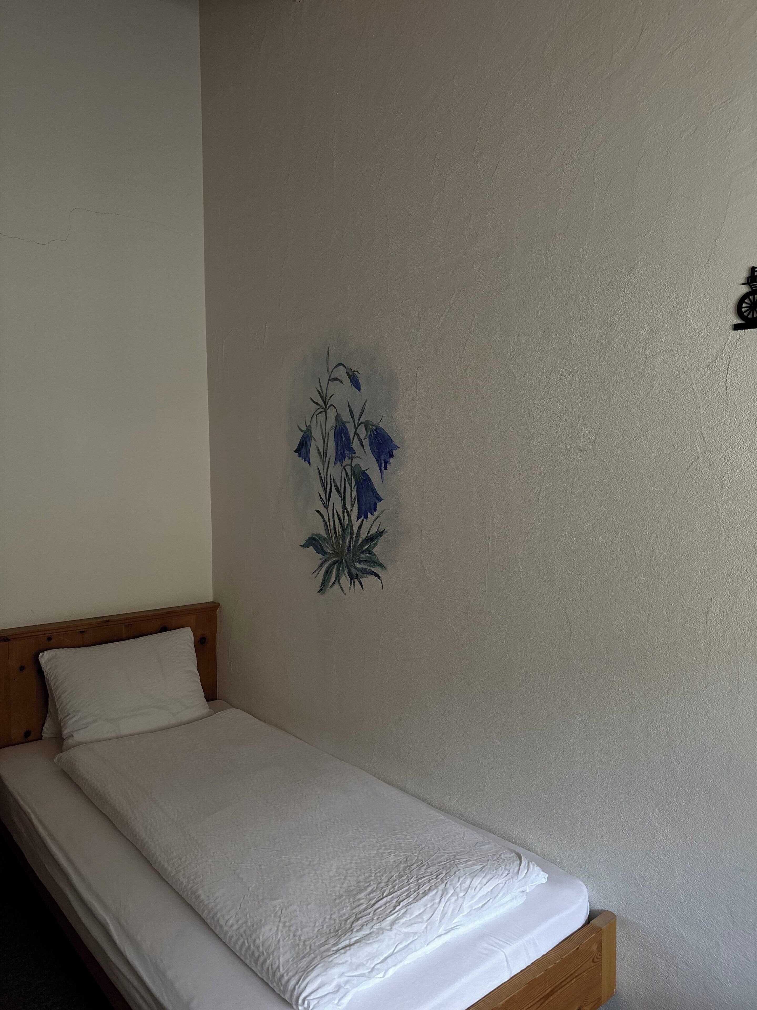 basic single room | mountain view