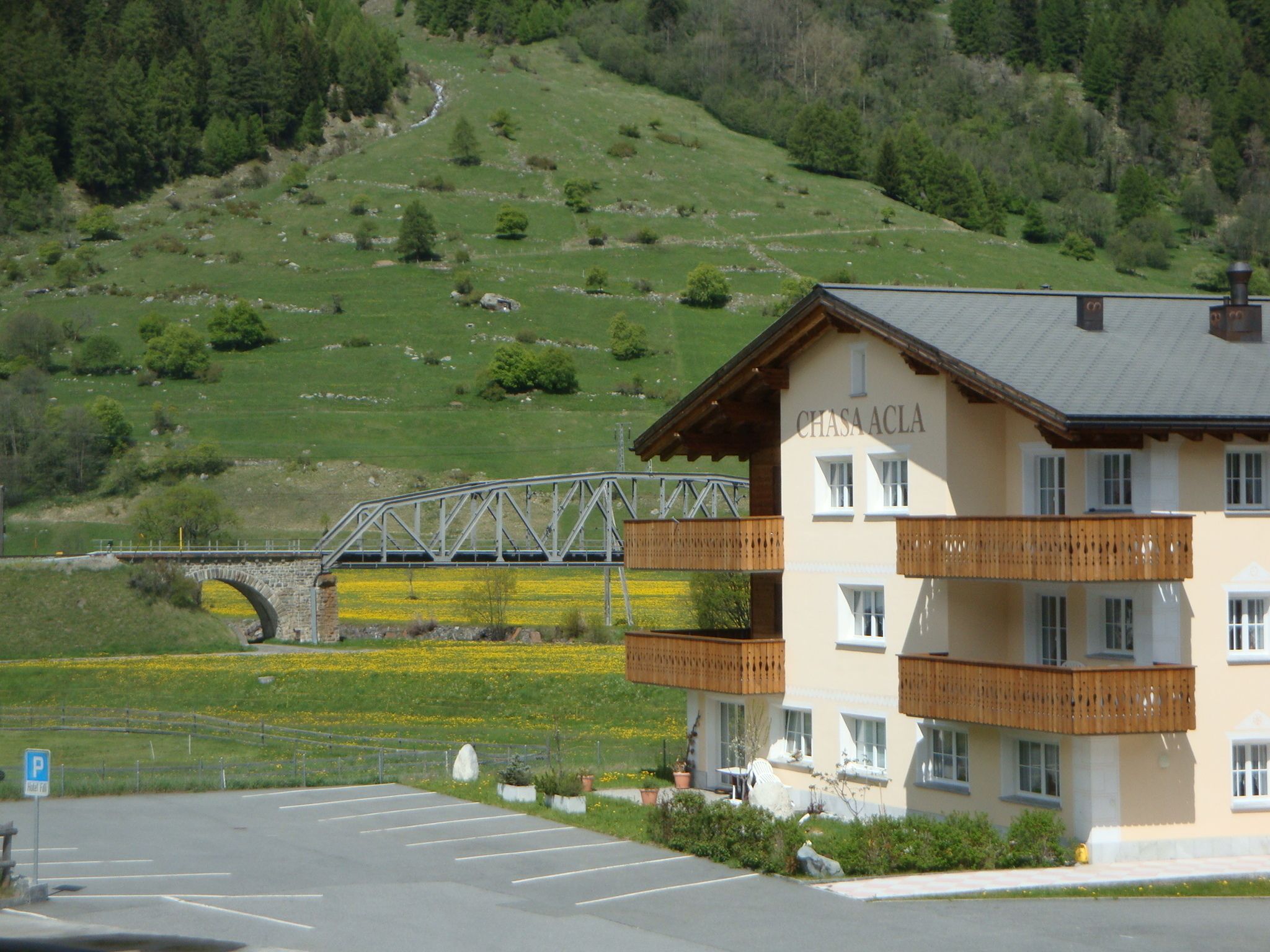 basic single room | mountain view