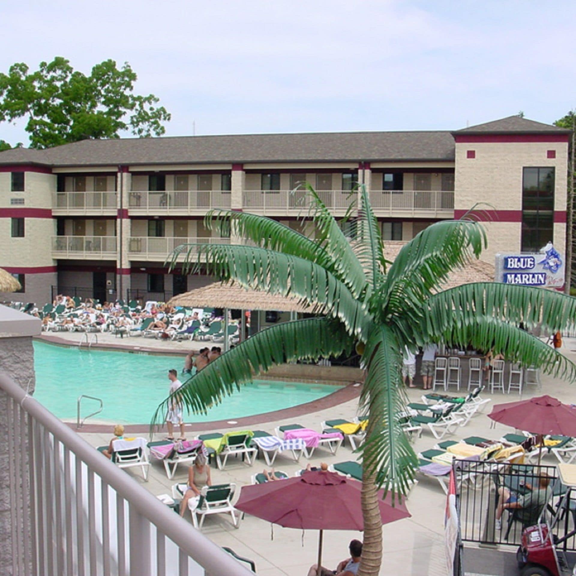 A hotel with a pool area, lounge chairs, and a palm tree.