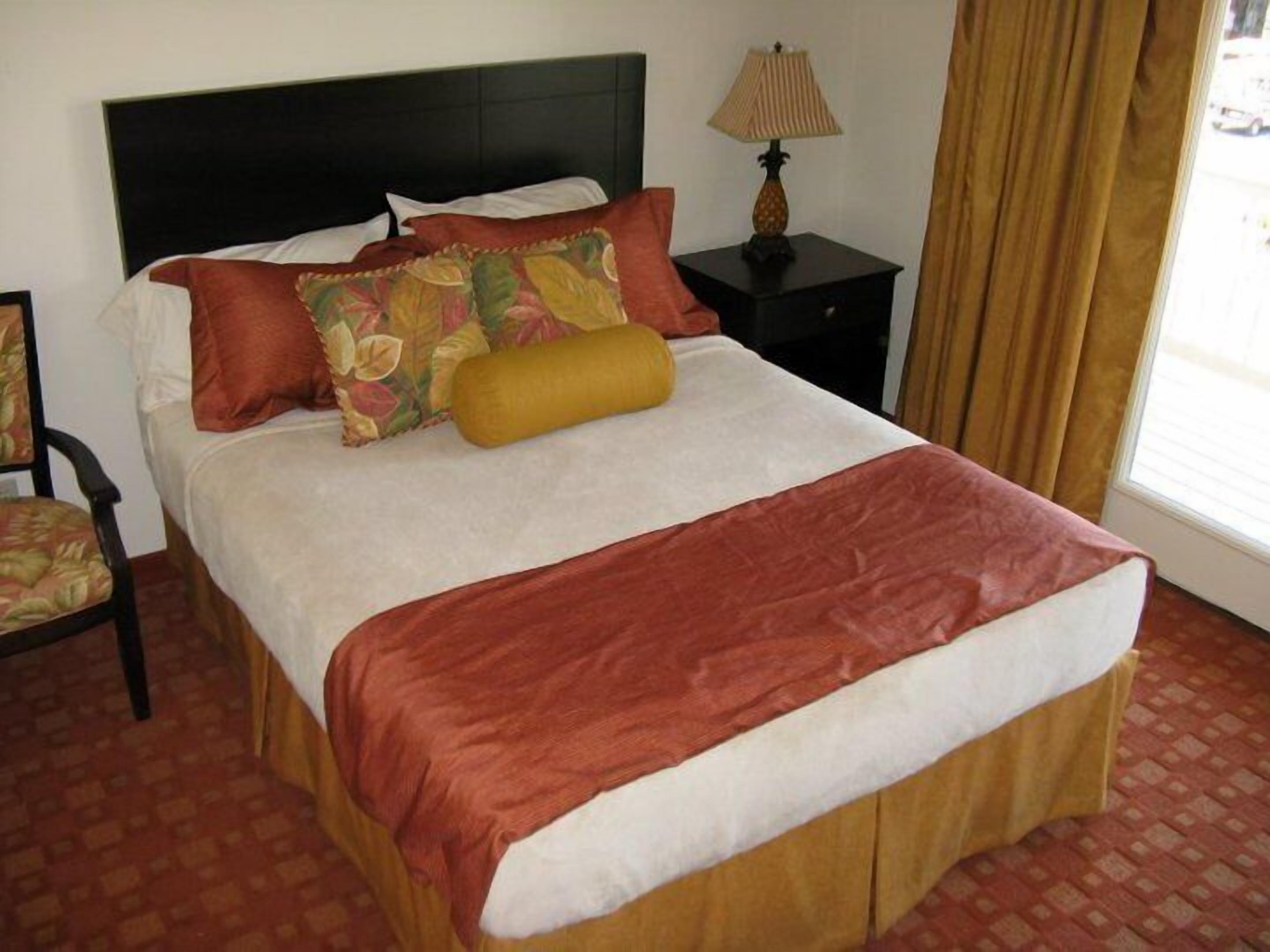 A hotel room with a bed, a nightstand, a lamp, and a window with curtains.