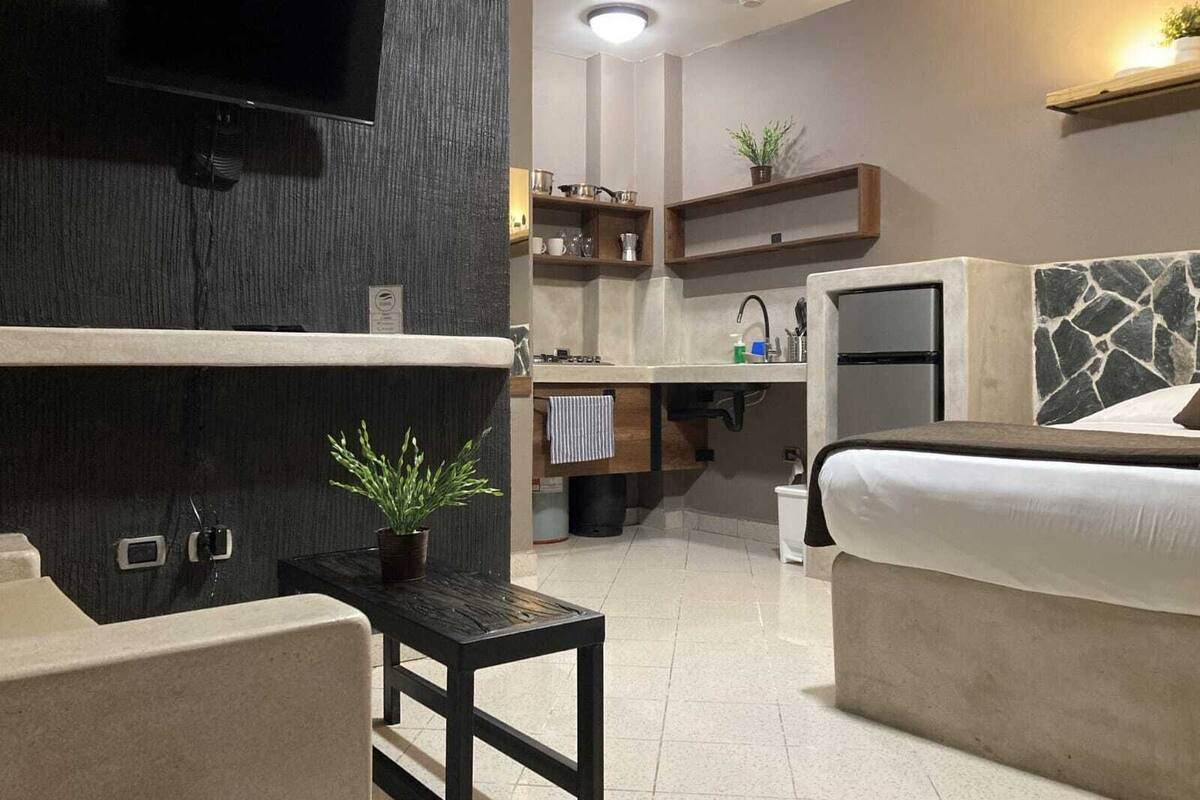 A modern hotel room with a bed, a small table with a plant, a TV mounted on the wall, a kitchenette, and a stone accent wall.