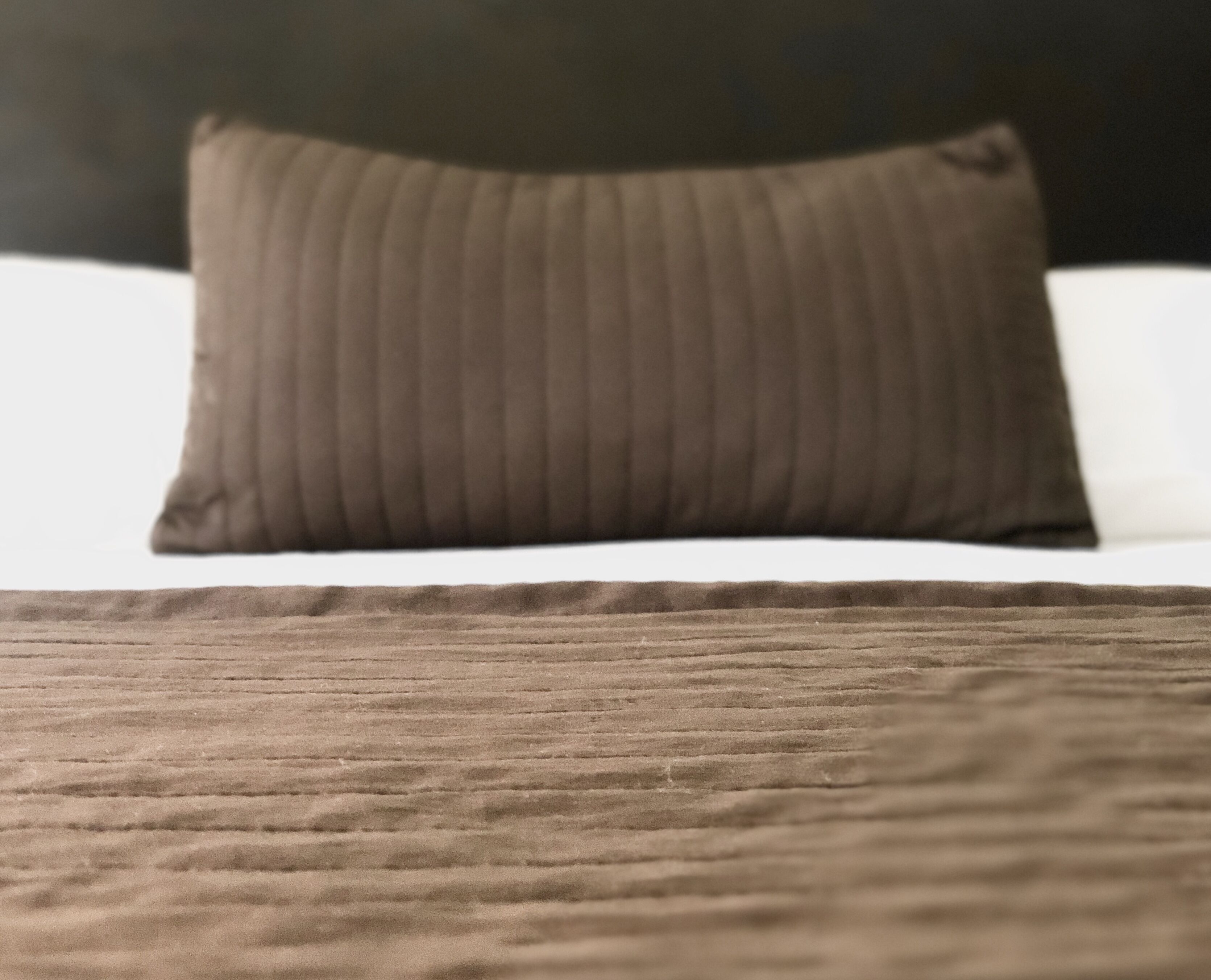 Foto - Ocean Breeze Studios