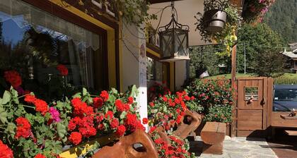 ALBERGO ALPENROSE Ski&Bike Mountain Hotel