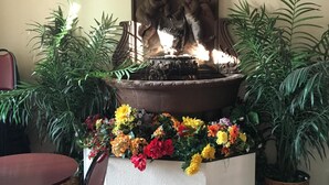 Une fontaine ornée d’une tête sculptée, entourée de plantes en pot et d’une variété de fleurs aux couleurs vives.