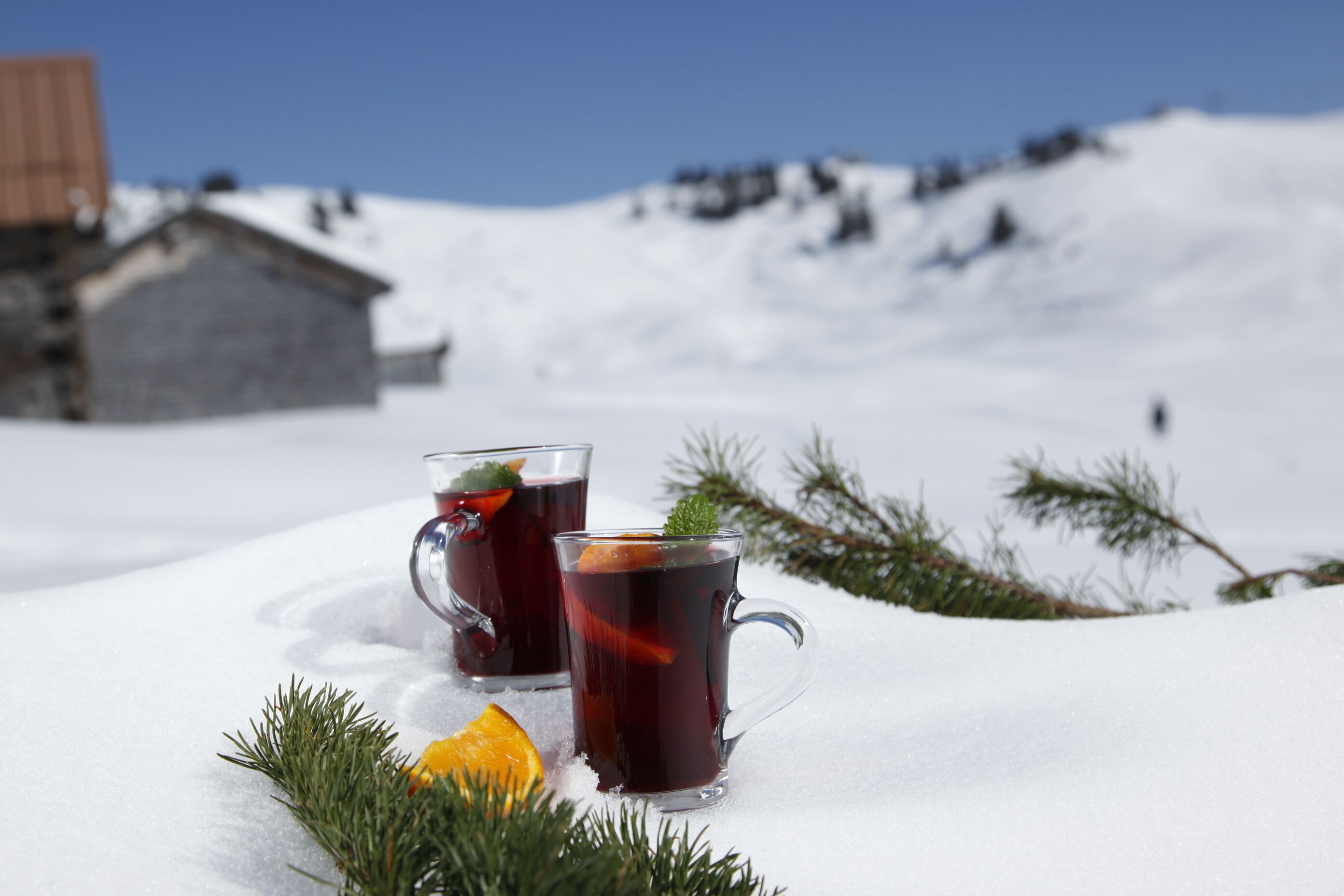 Two glasses of red beverage on a snowy surface with pine branches and an orange slice.