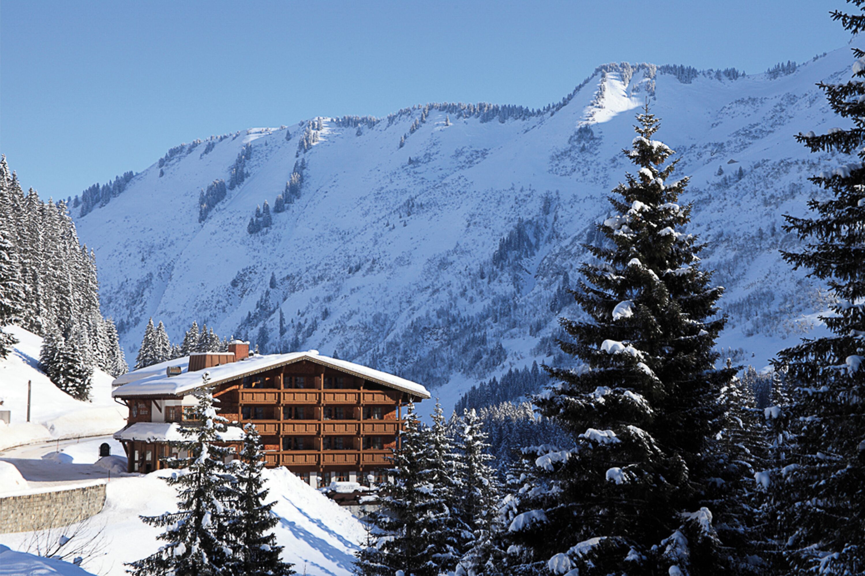 Ein schneebedecktes Chalet mit Holzfassade, umgeben von mit Schnee beladenen Bäumen und blauem Himmel.