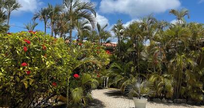 Dive Hut - Boutique Apartments