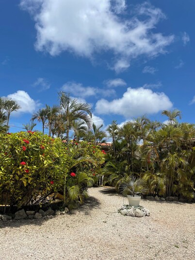 Dive Hut - Boutique Apartments