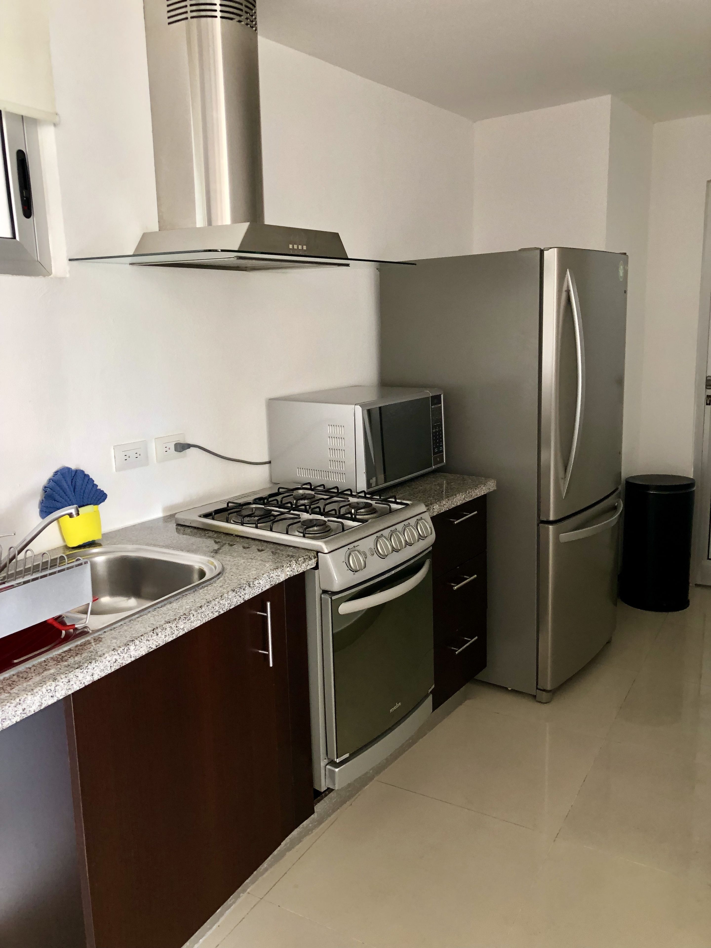 deluxe suite, 1 bedroom, kitchen, sea view | private kitchen | microwave