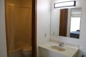 Combined shower/tub, hair dryer