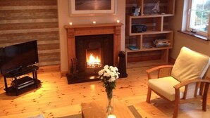 Una sala de estar con chimenea, televisor, estantería y un sillón.