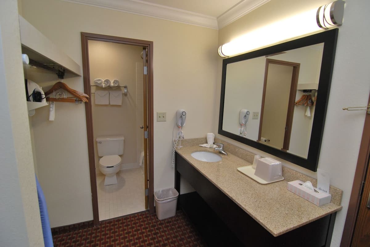 A bathroom with a toilet, sink, and mirror.