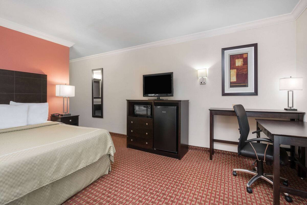 Hotelkamer met een bed, een bureau, een televisie, een koelkast en een lijst met een afbeelding.