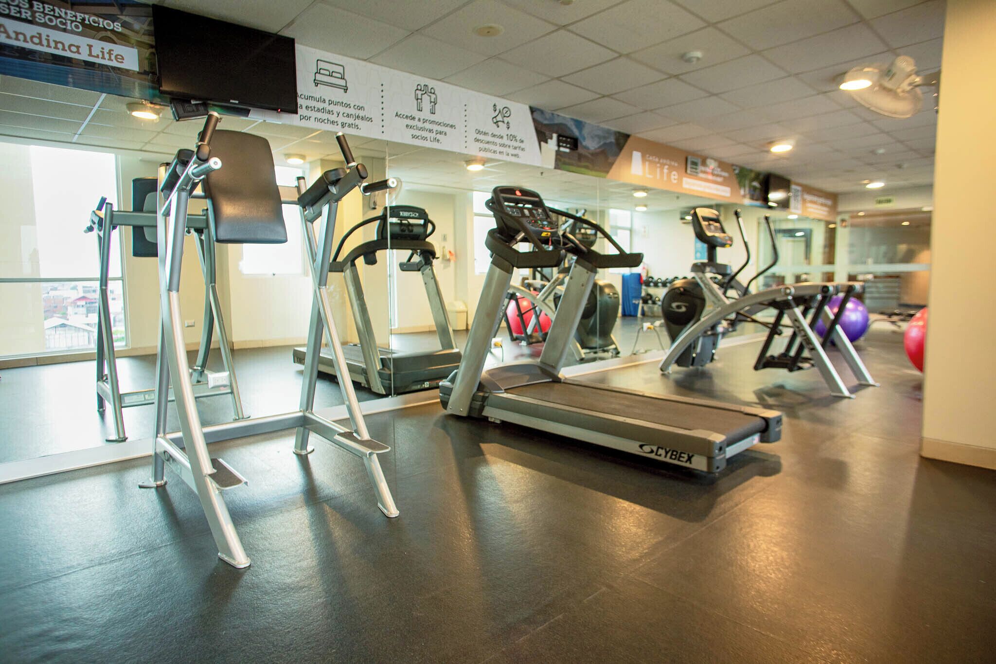 A gym with treadmills, ellipticals, and other cardio equipment.
