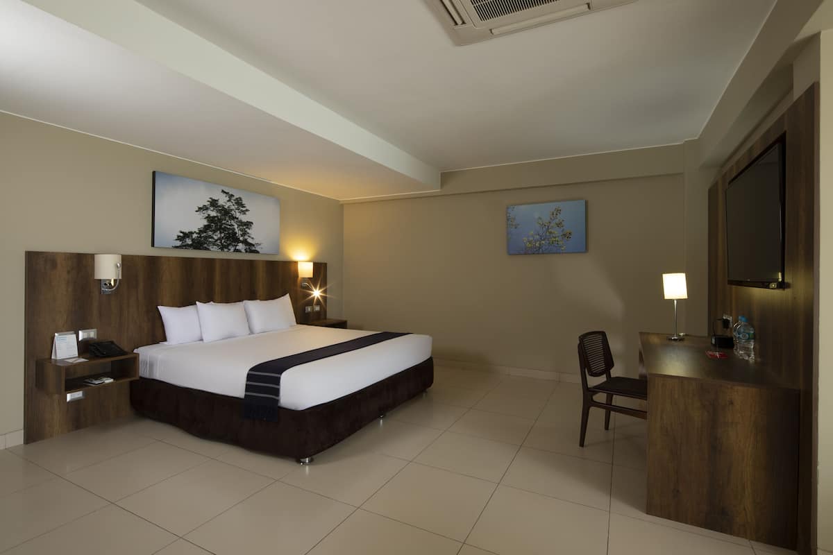 A hotel room with a large bed, a desk, a chair, a TV, and artwork on the walls.