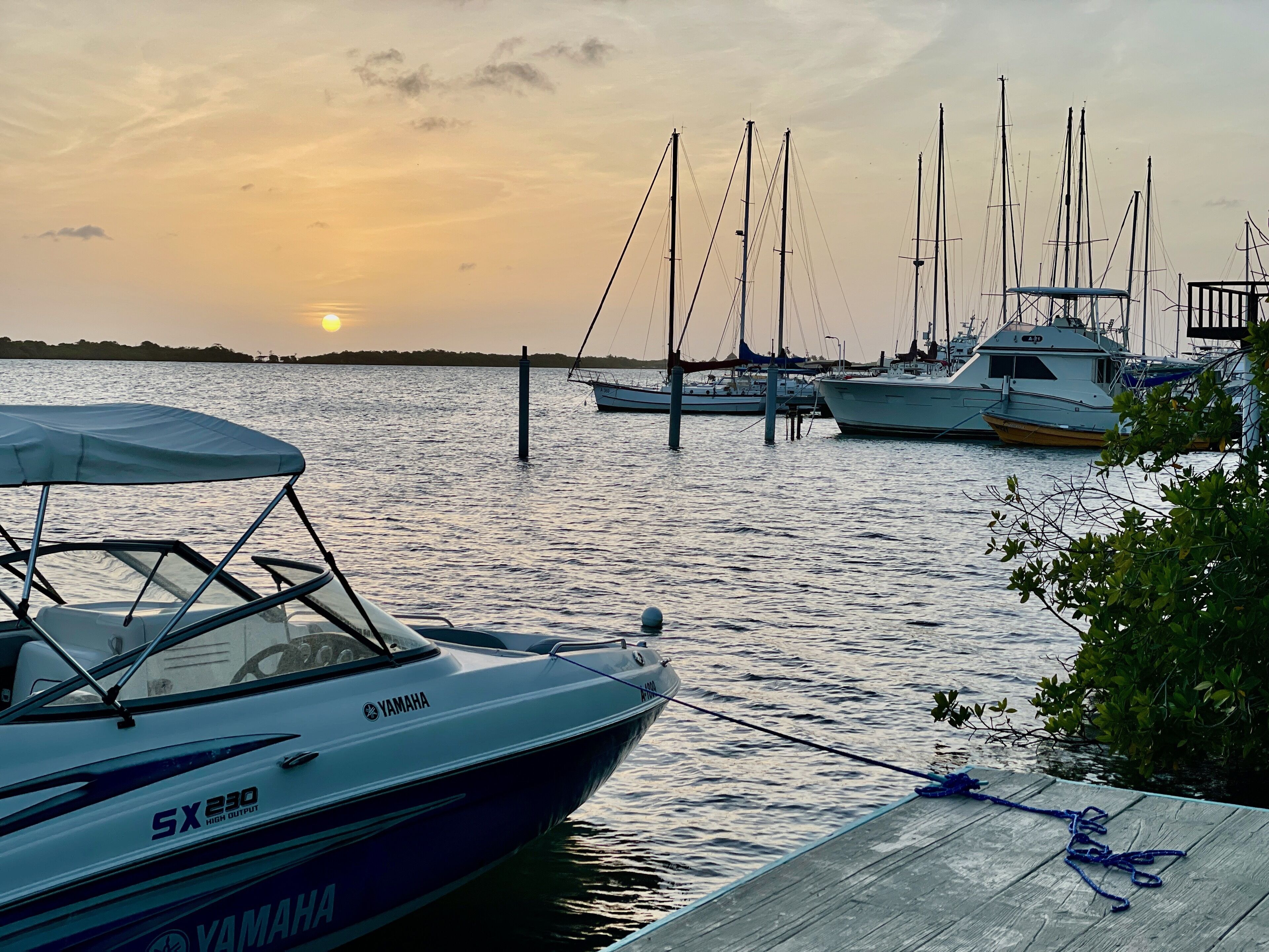 A marina with boats docked, a wooden pier, and a sunset in the background.