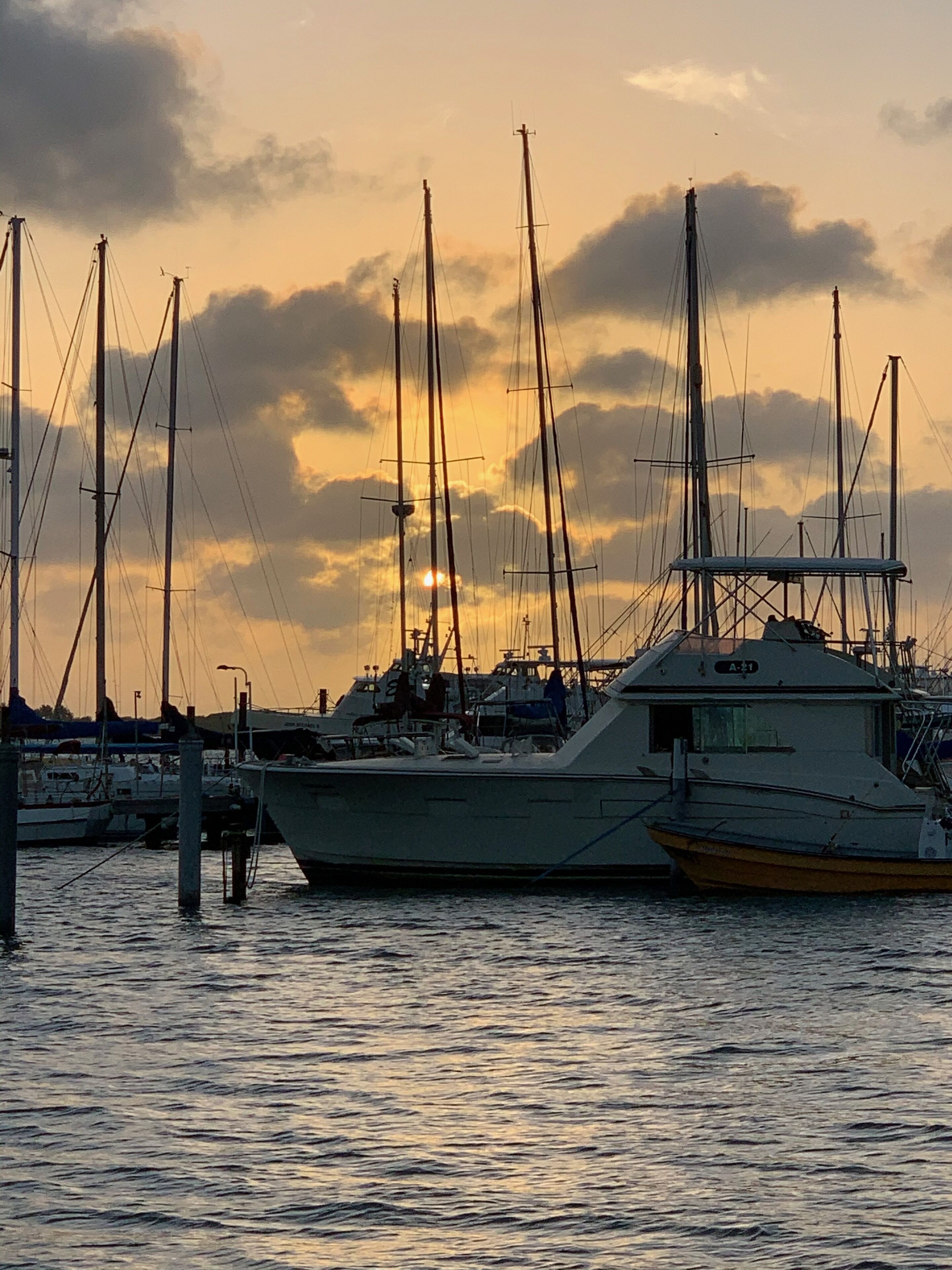A marina with several sailboats docked at the pier.
