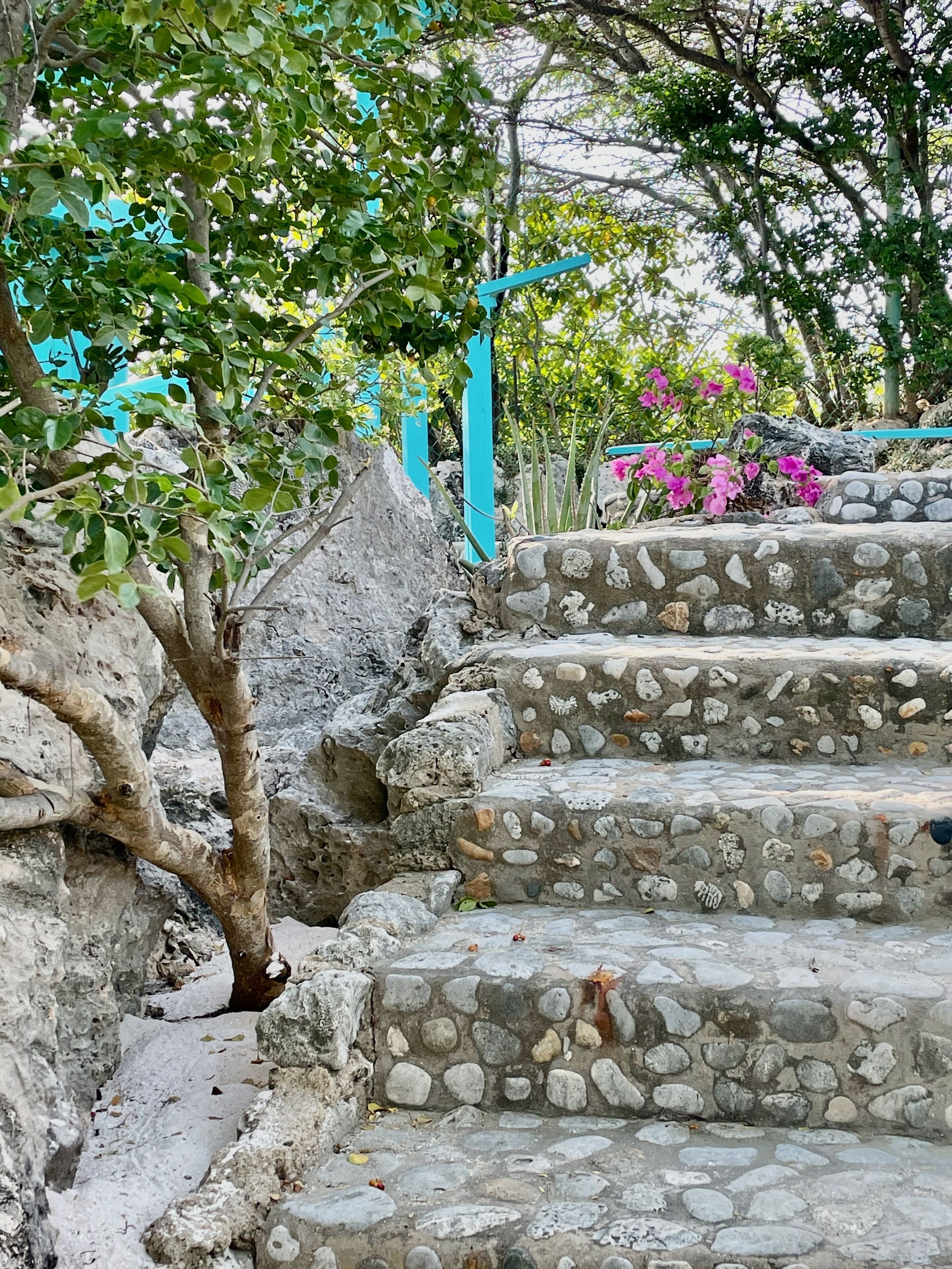 A stone staircase with a tree on the left and a blue structure in the background.