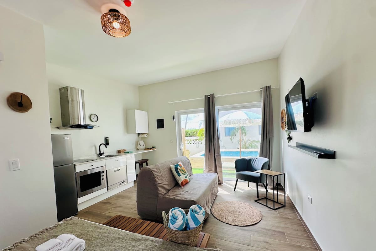A compact living space with a kitchenette, a sofa, a TV, and a view of the outdoors.
