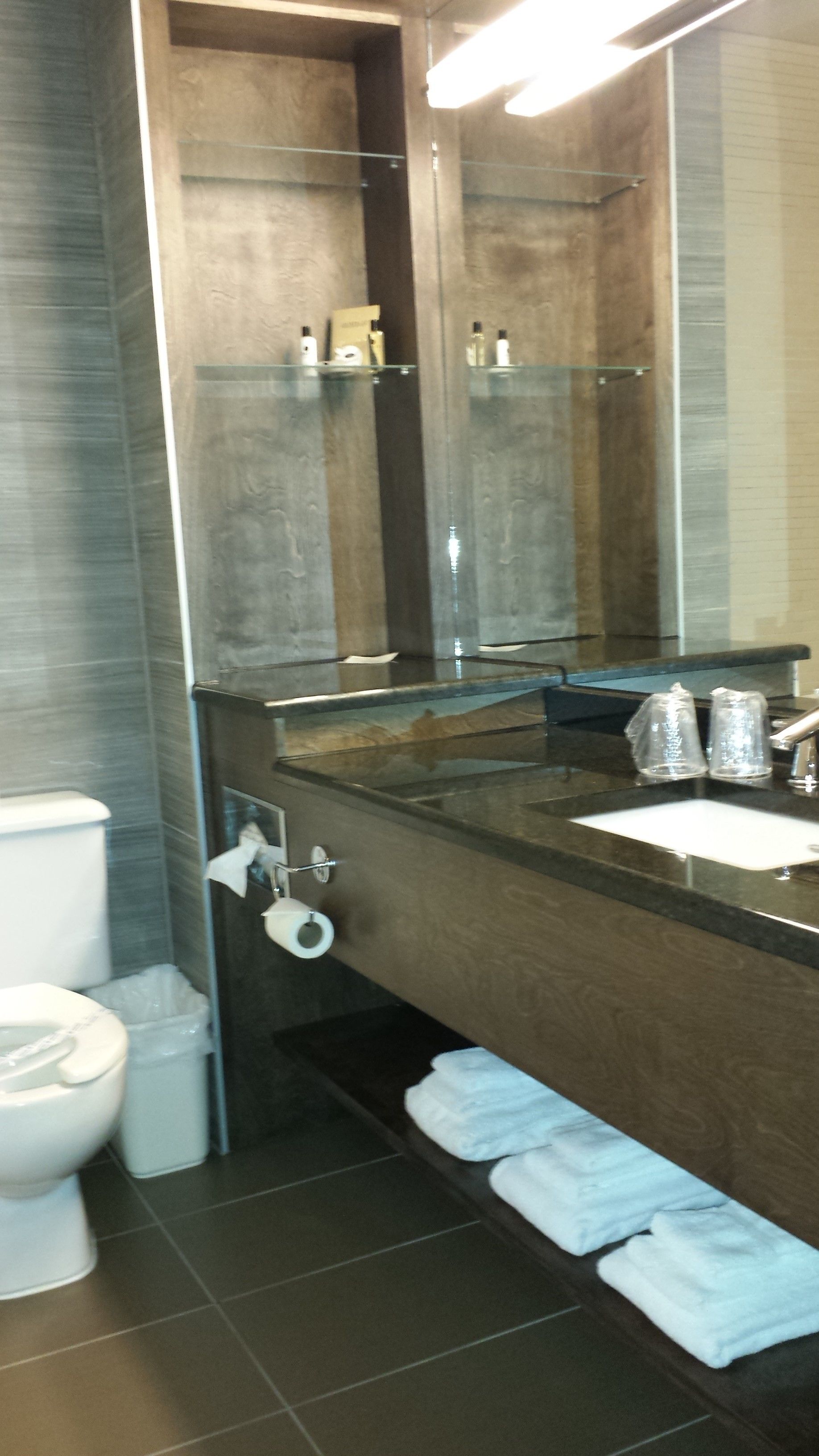 A bathroom with a toilet, sink, mirror, and towel rack.