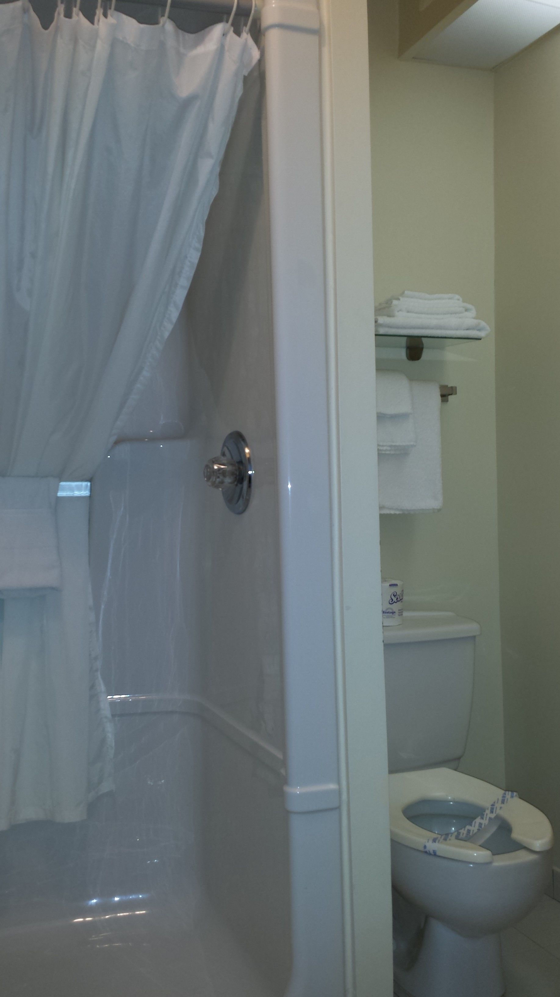 A bathroom with a shower curtain, a toilet, and a stack of white towels.