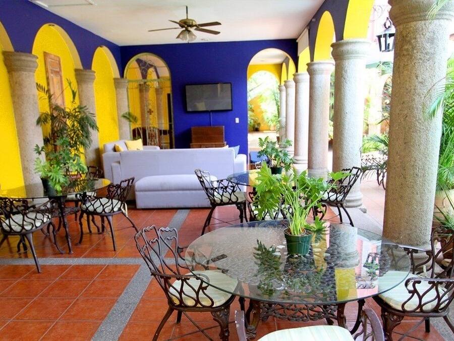Un comedor con una mesa de vidrio rodeada de sillas metálicas, un sofá y plantas en macetas.
